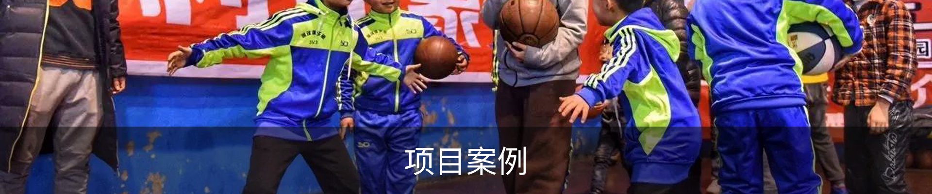 项目案例